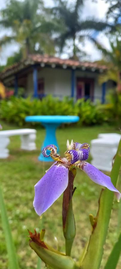 Finca Hotel Villa Del Sol Пуэбло-Тапао Экстерьер фото